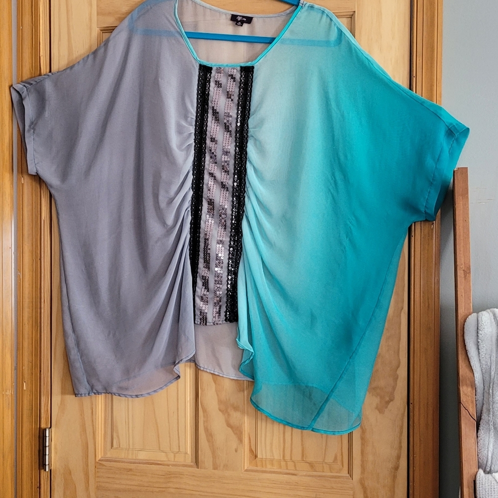 Batwinged Sheer top from Lily